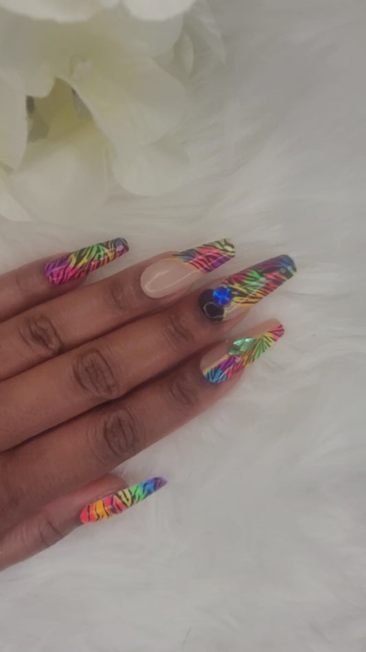Rainbow Zebra Madness