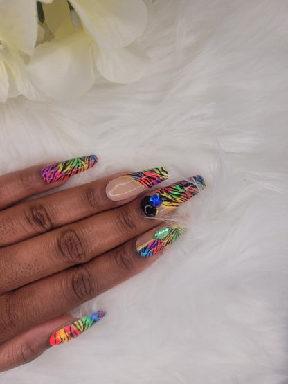 Rainbow Zebra Madness