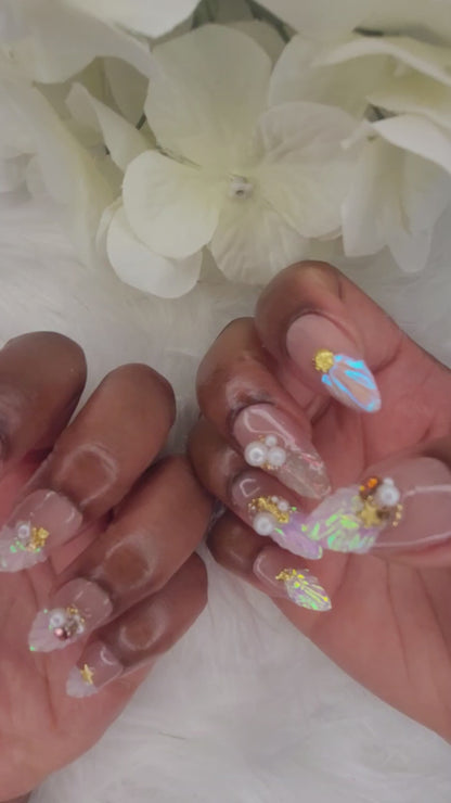 Seashell Radiance
