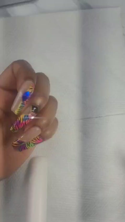 Rainbow Zebra Madness