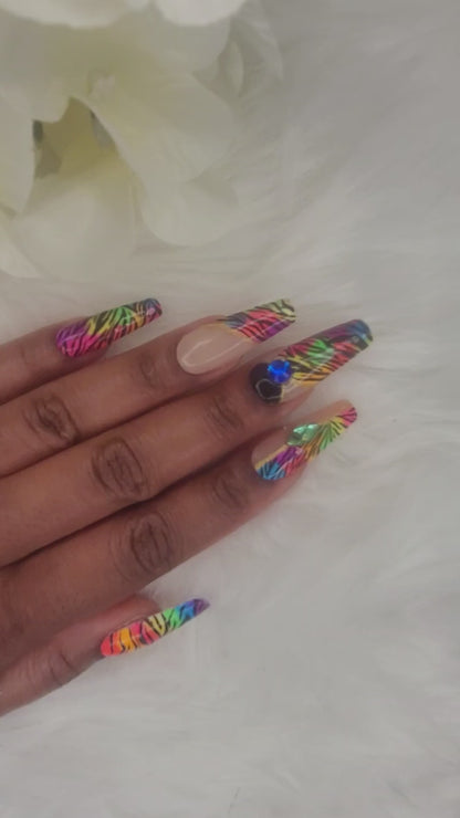 Rainbow Zebra Madness